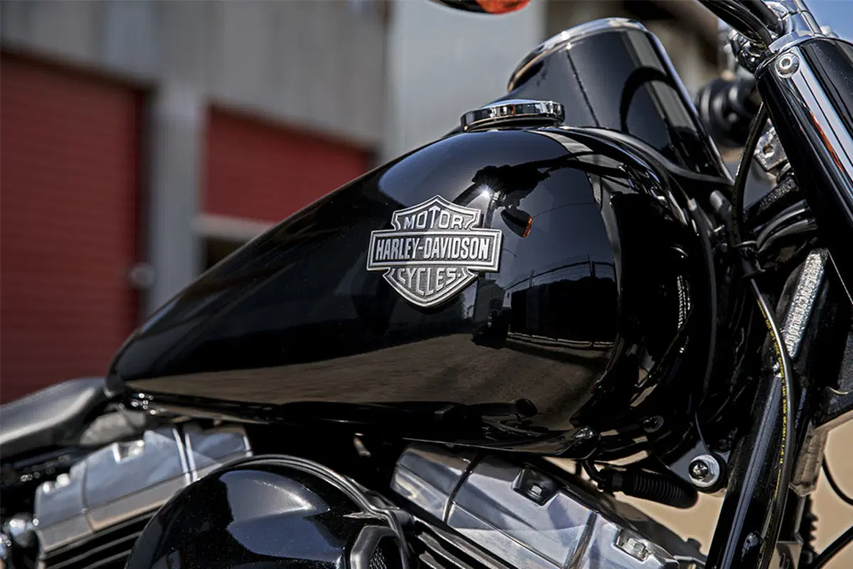 Harley-Davidson Softail 1690 Slim (2017) - FLS (10)