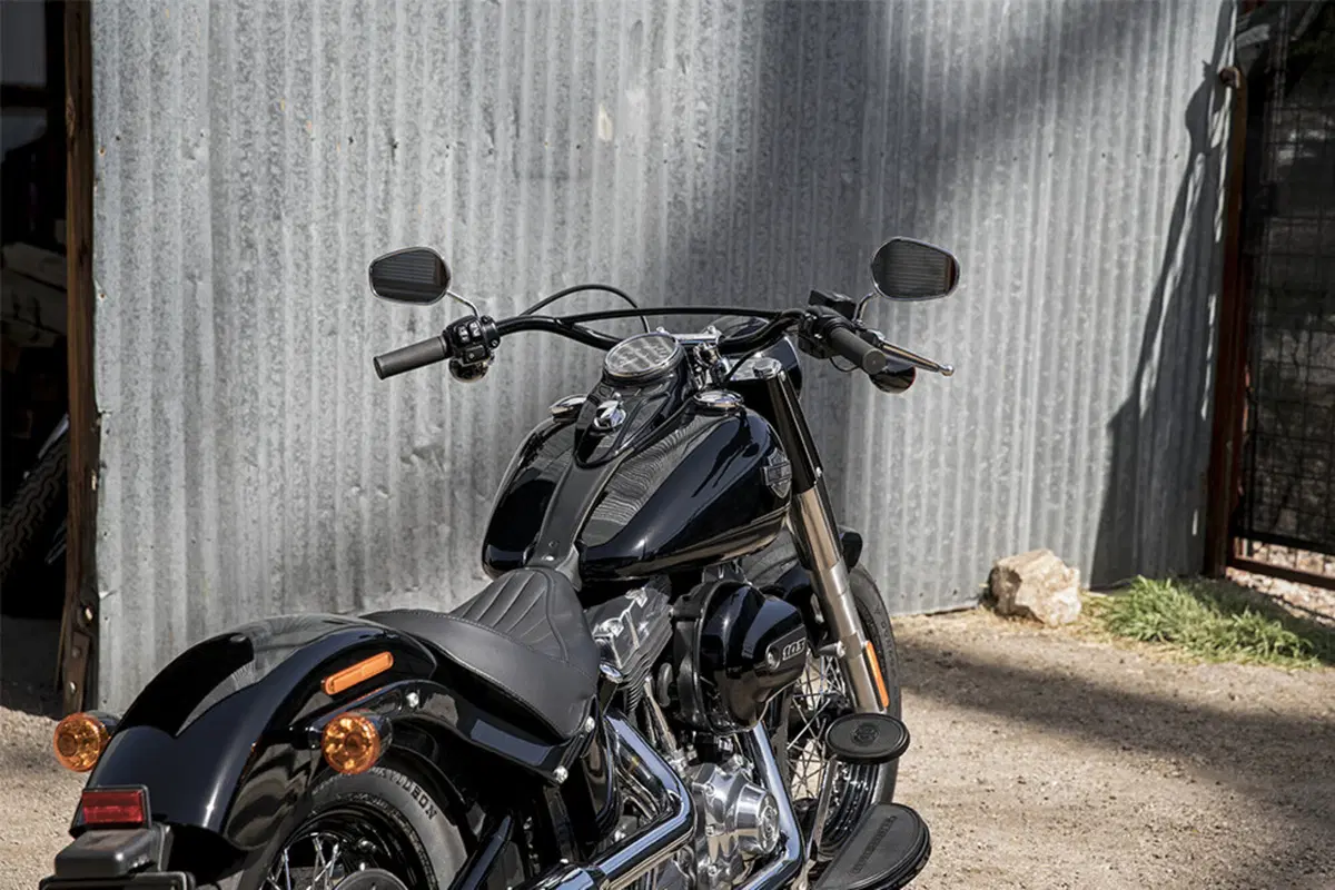 Harley-Davidson Softail 1690 Slim (2017) - FLS (6)