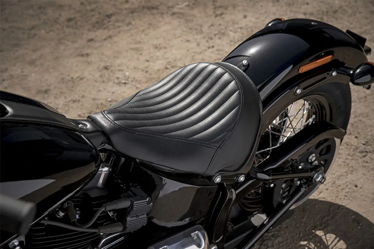 Harley-Davidson Softail 1690 Slim (2017) - FLS (7)