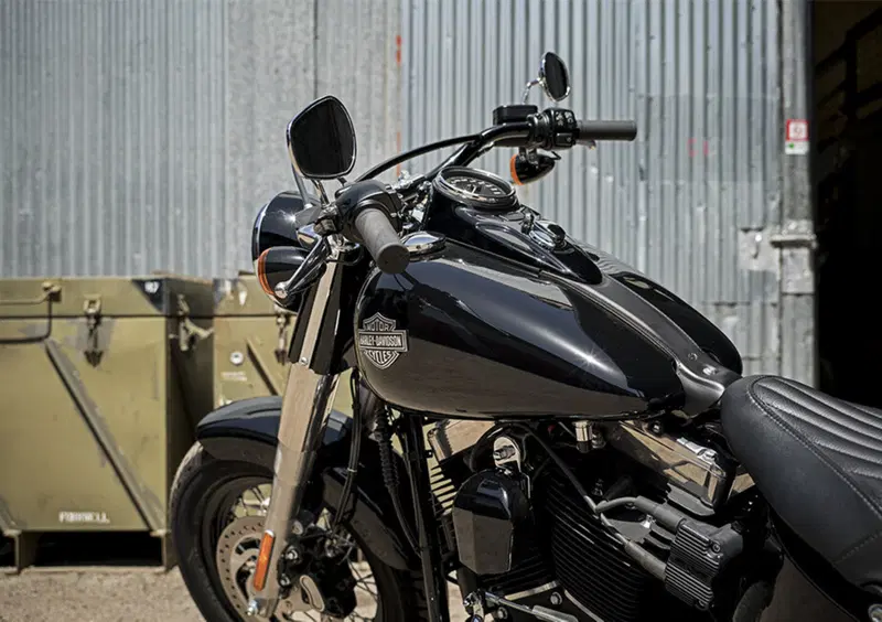 Harley-Davidson Softail 1690 Slim (2017) - FLS (9)