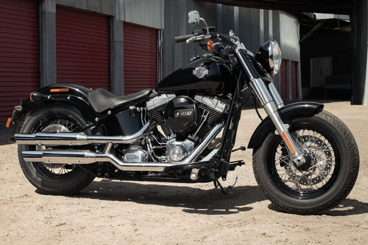 Harley-Davidson Softail 1690 Slim (2017) - FLS (13)