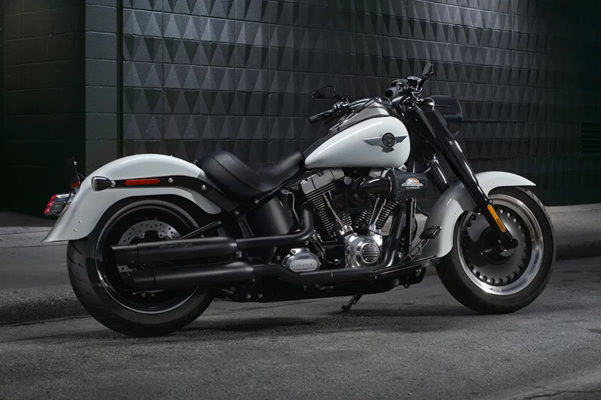 Harley-Davidson Softail 1690 Fat Boy Special (2010 - 17) - FLSTF (15)