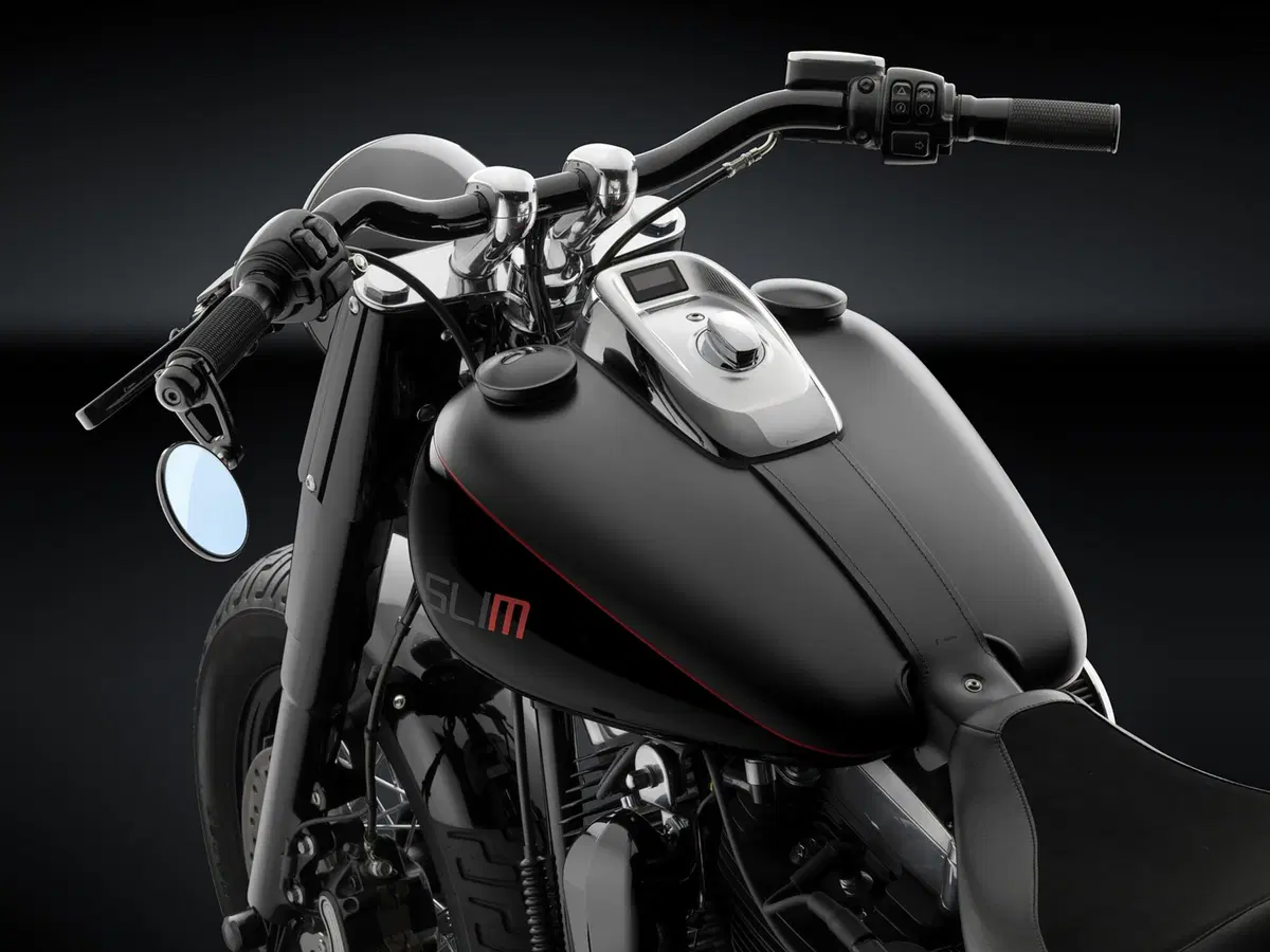 Rizoma per Harley-Davidson Softail Slim (2)