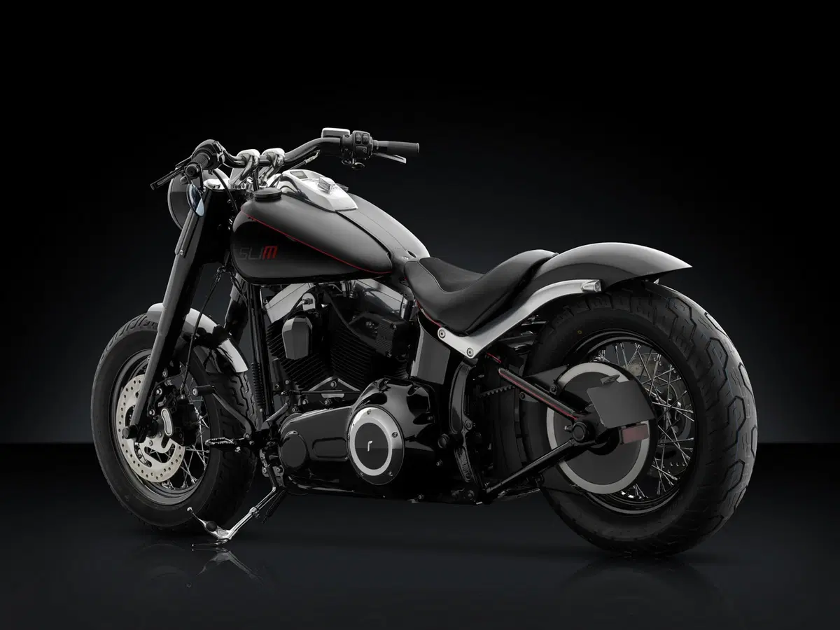 Rizoma per Harley-Davidson Softail Slim (3)