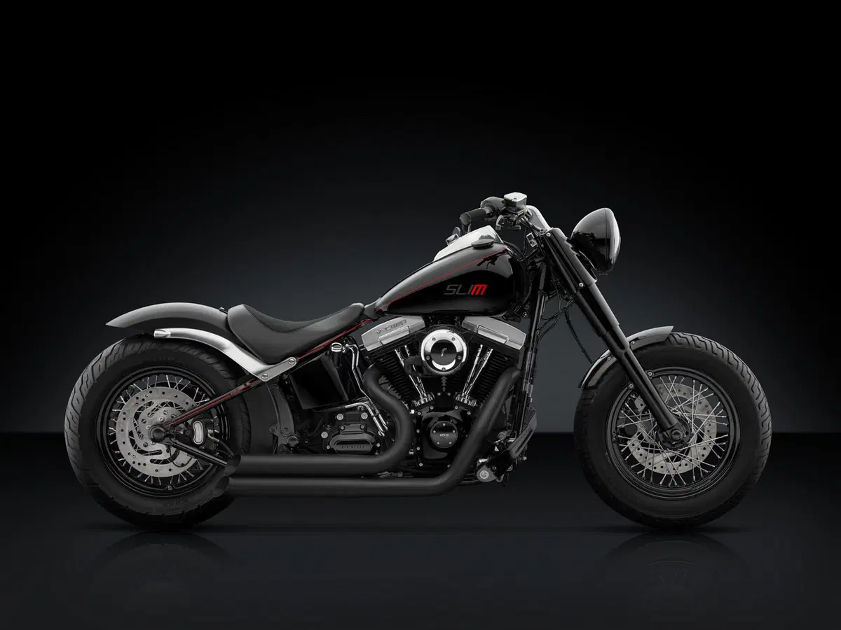 Rizoma per Harley-Davidson Softail Slim (4)