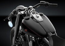 Rizoma per Harley-Davidson Softail Slim