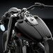 Rizoma per Harley-Davidson Softail Slim