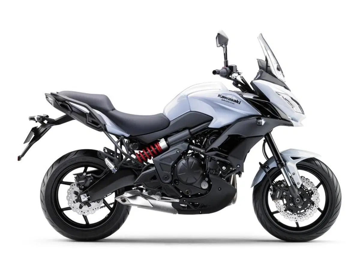 Kawasaki Versys 650 Versys 650 (2017 - 20) (10)