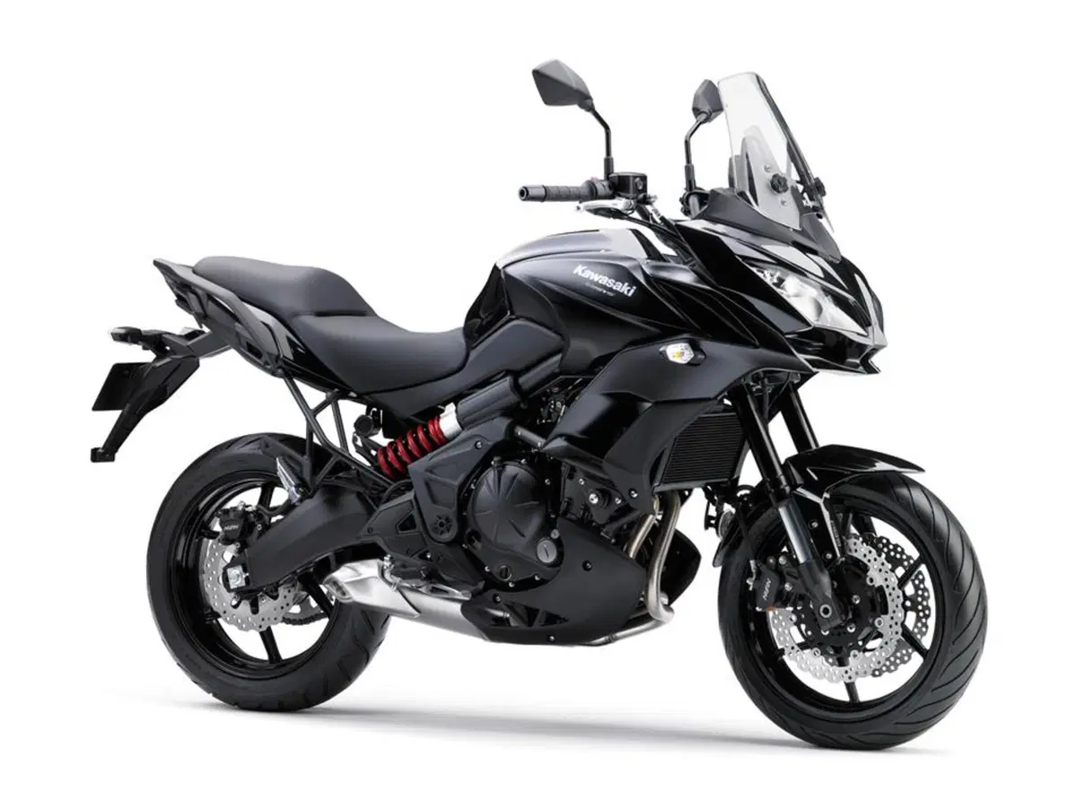 Kawasaki Versys 650 Versys 650 (2017 - 20) (12)