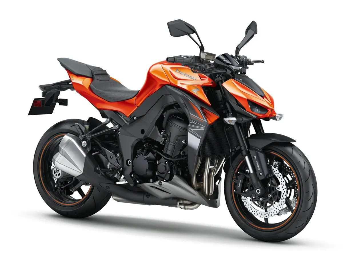 Kawasaki Z 1000 Z 1000 (2017 - 20) (4)
