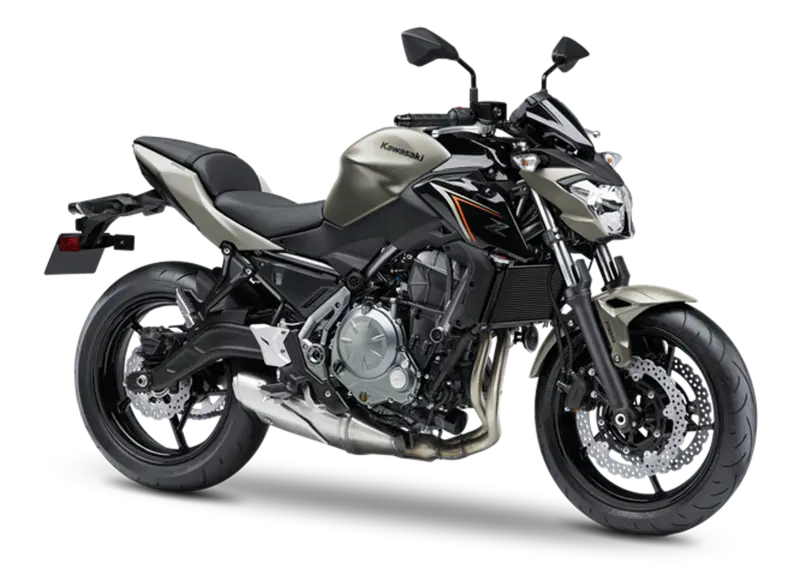 Kawasaki Z 650 Z 650 (2017 - 19) (10)