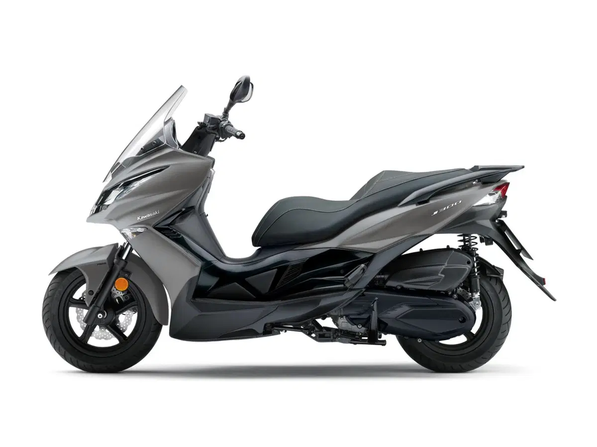 Kawasaki J 300 J 300 (2017 - 21) (2)
