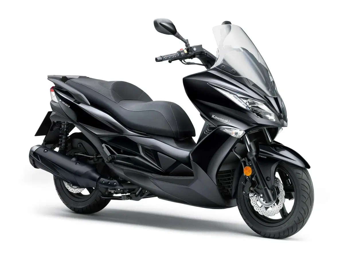 Kawasaki J 300 J 300 (2017 - 21) (4)