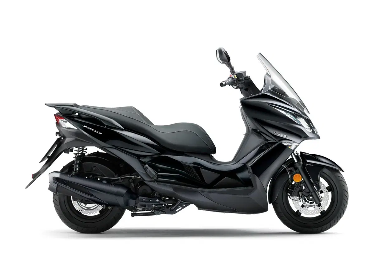 Kawasaki J 300 J 300 (2017 - 21) (6)
