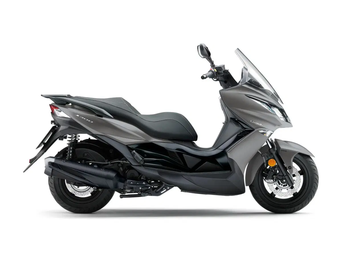 Kawasaki J 300 J 300 (2017 - 21) (5)