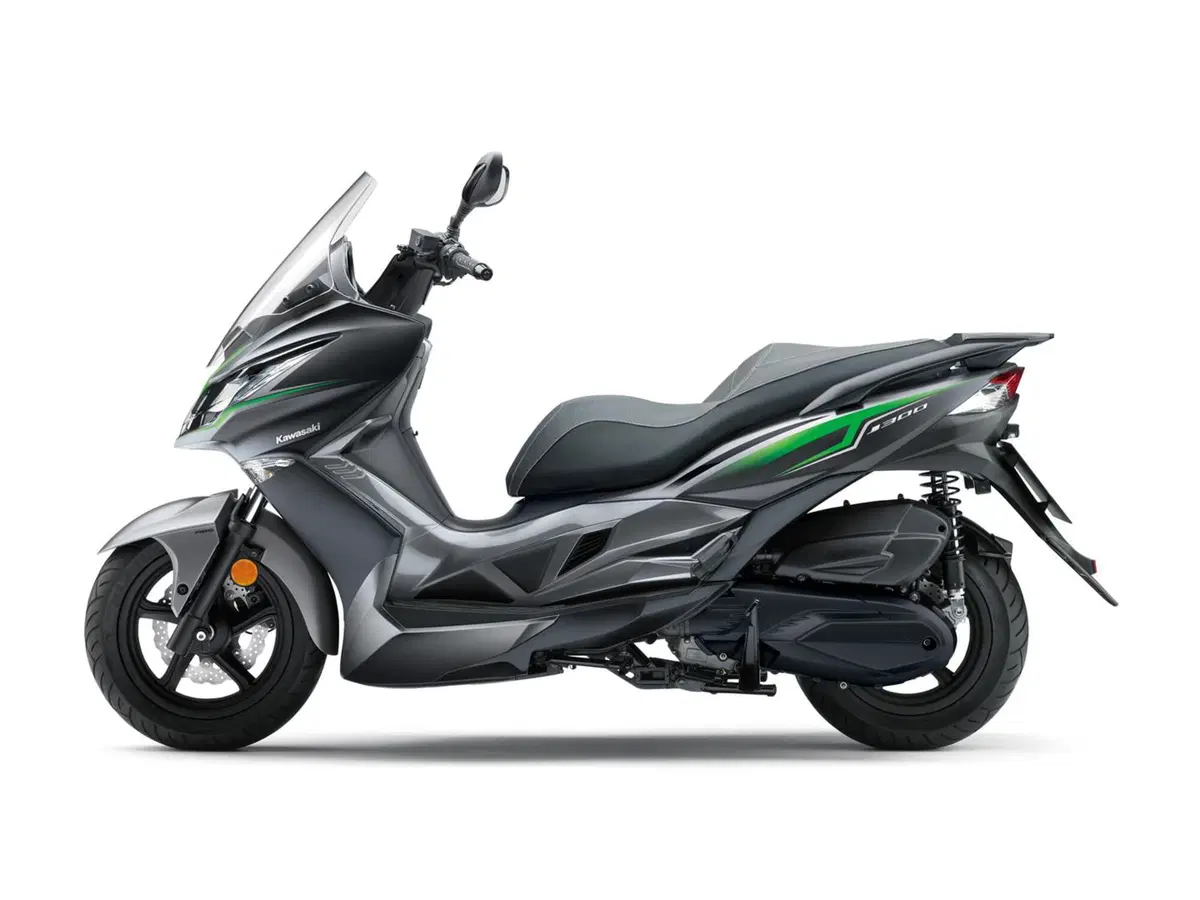 Kawasaki J 300 J 300 SE (2017 - 18) (2)
