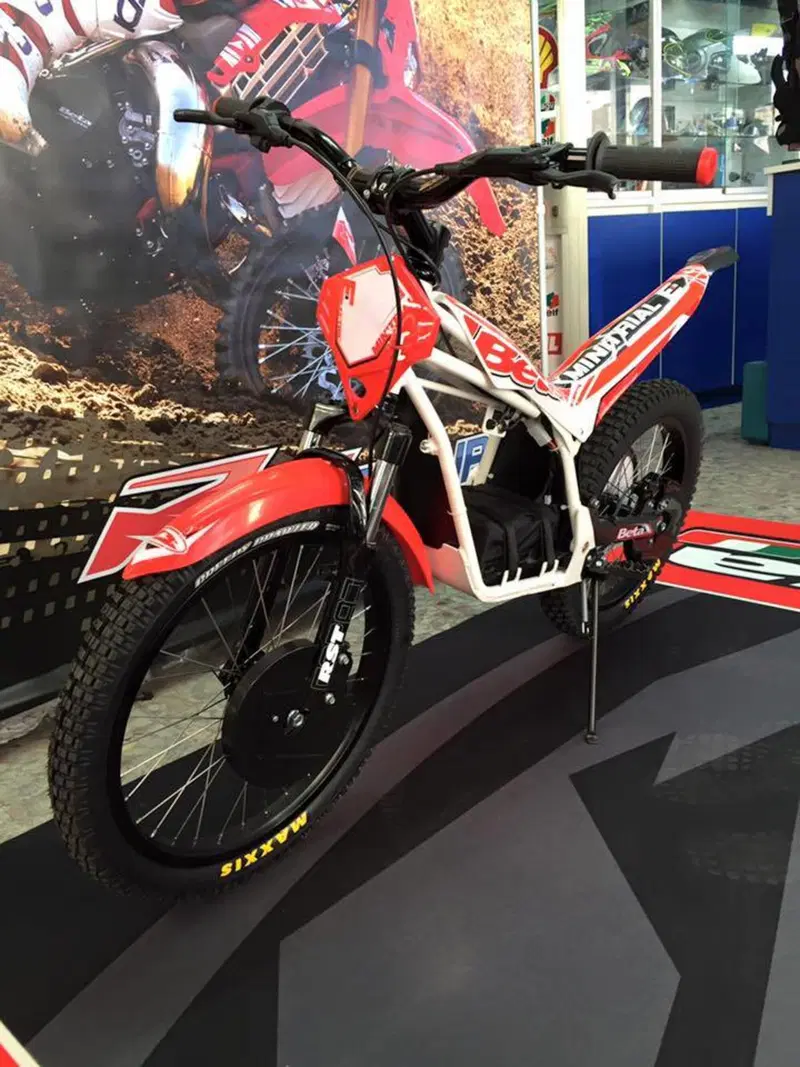Betamotor Minitrial Electric 20" (2014 - 26) (2)