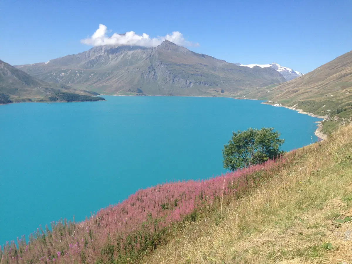 In viaggio con Camilla: le Alpi occidentali, seconda parte (5)