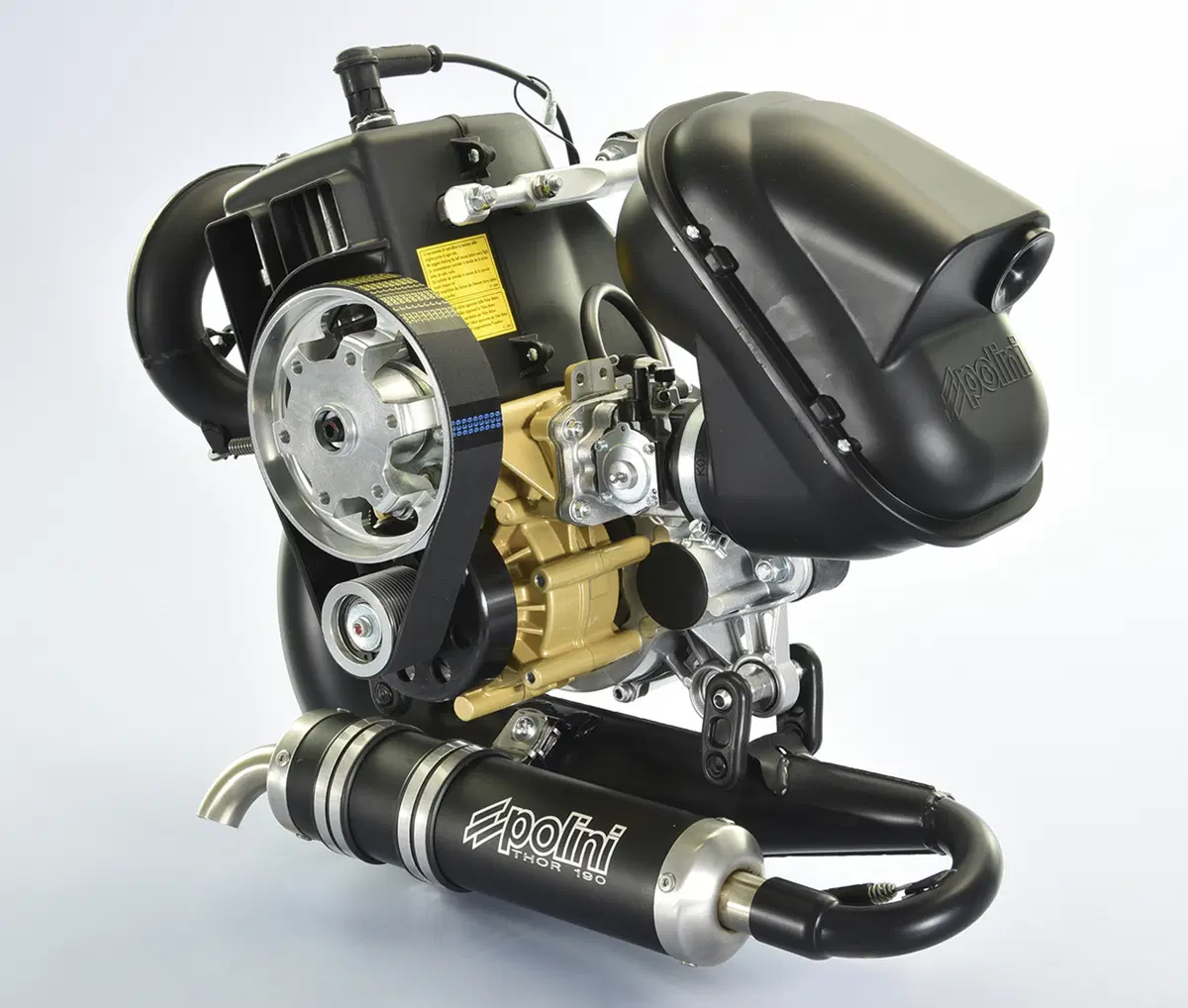 Motore Polini Thor 190 Evo (2)