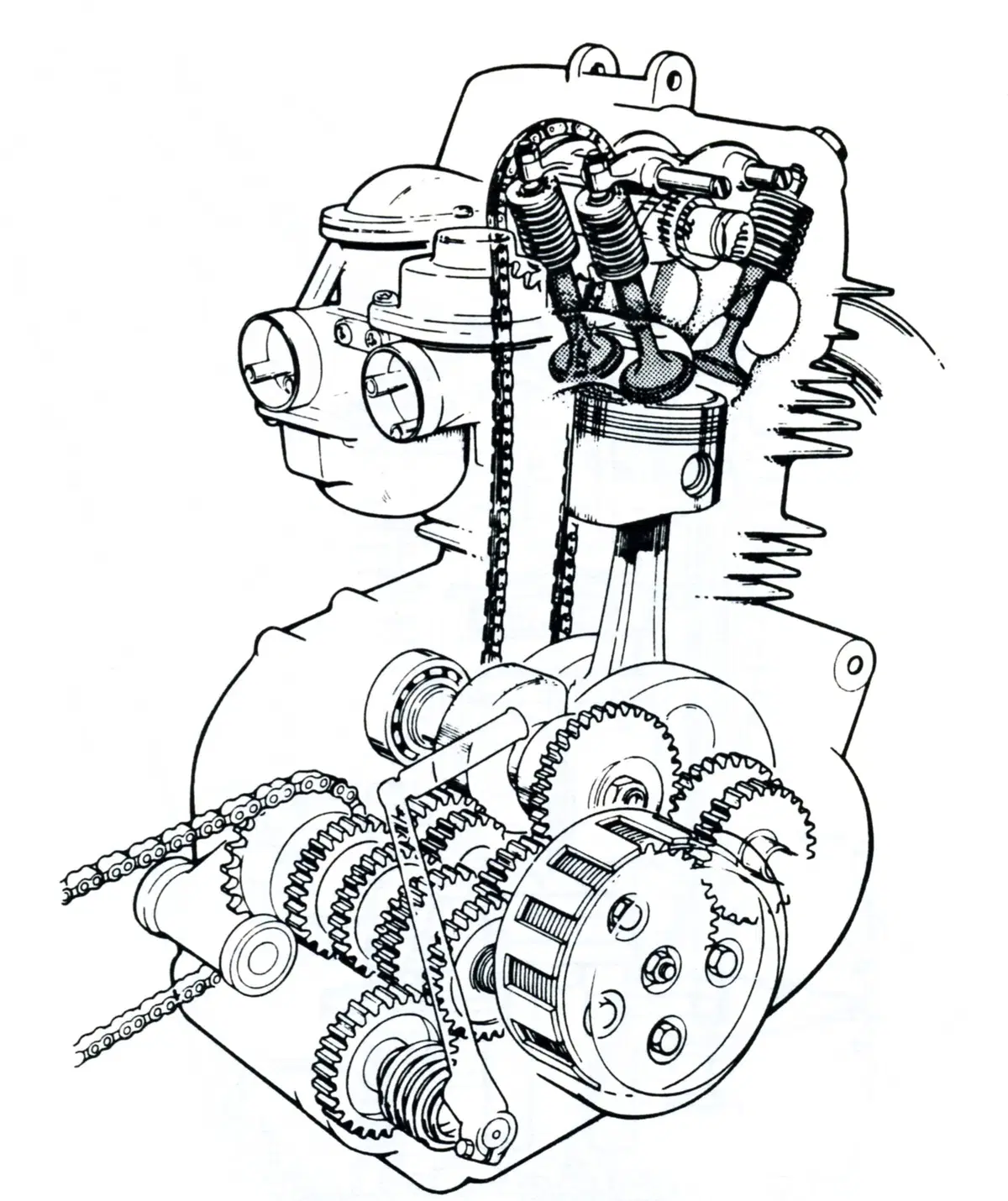 Creatività e tecnica: trapianti di teste da corsa (5)