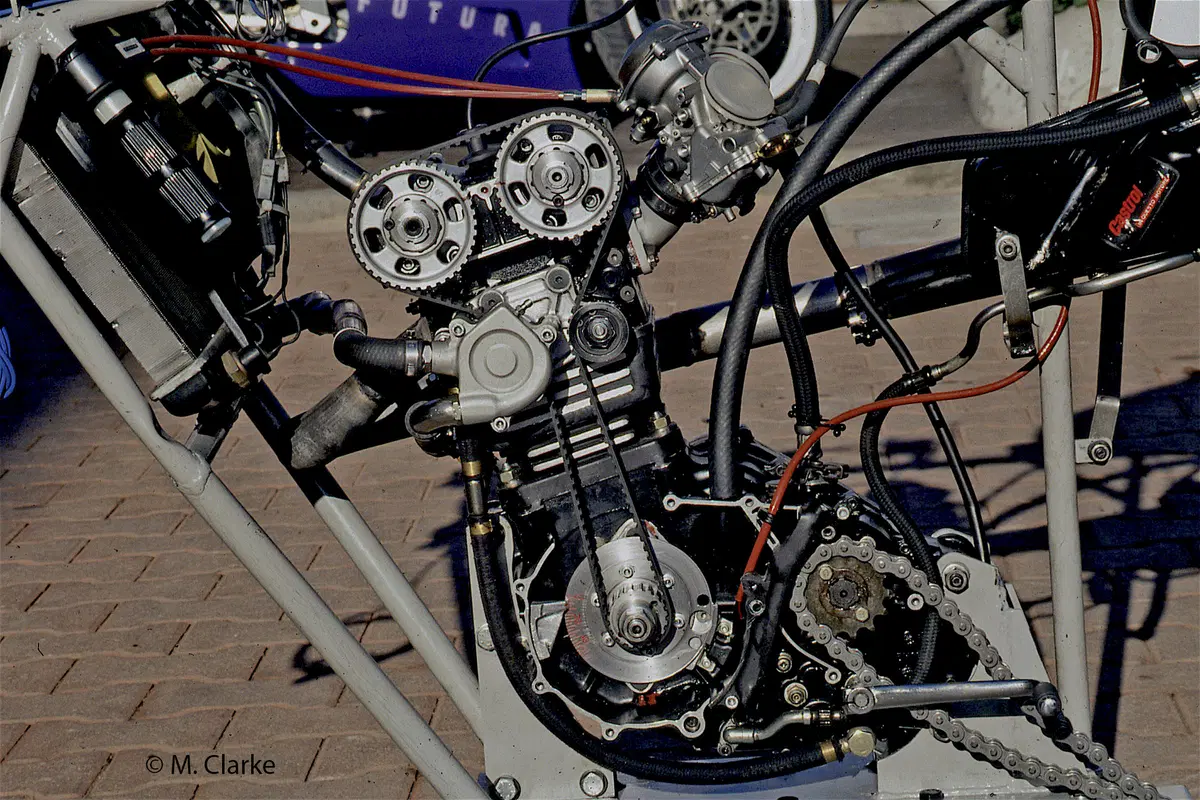 Creatività e tecnica: trapianti di teste da corsa (8)
