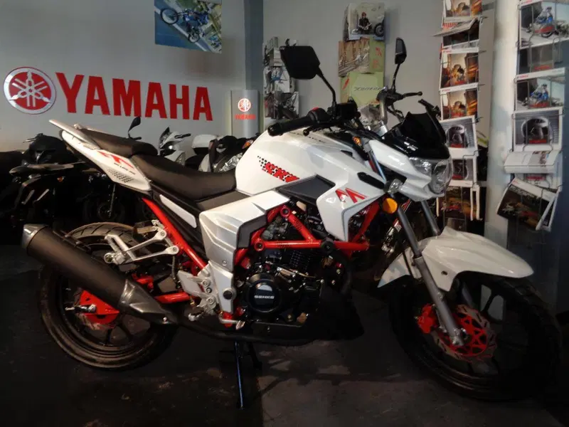  Altre moto o tipologie Special (4)