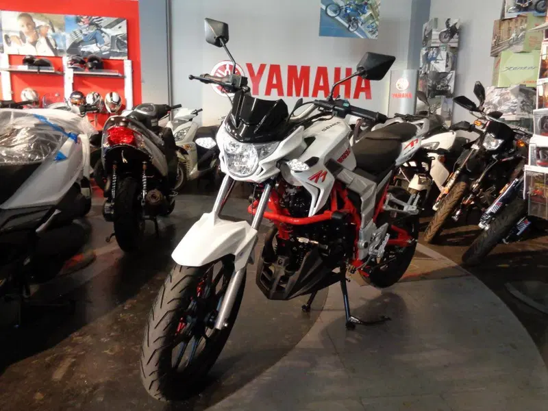  Altre moto o tipologie Special (3)