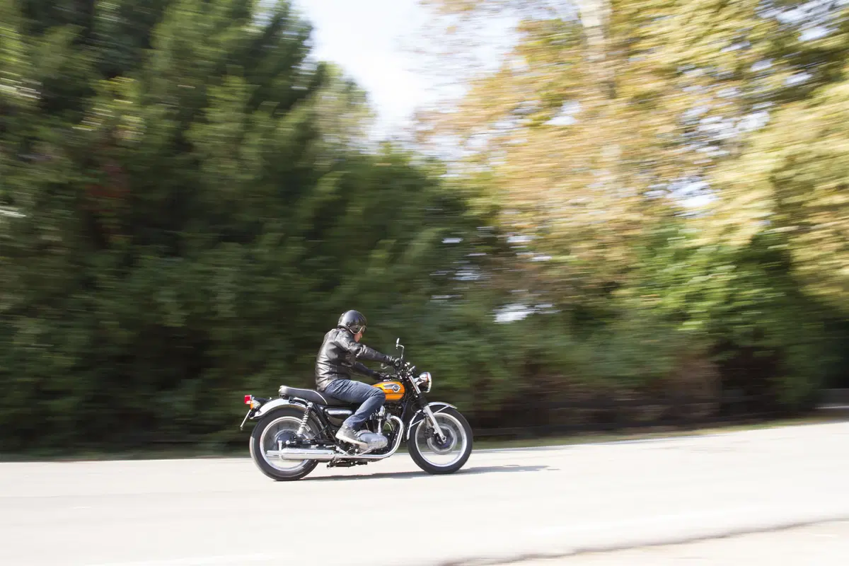 Kawasaki W800 Final Edition (5)