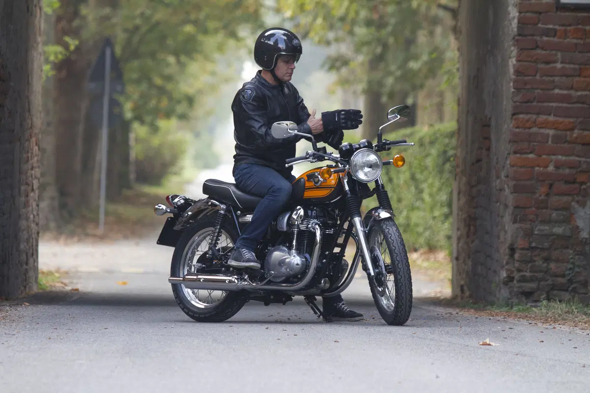 Kawasaki W800 Final Edition (6)