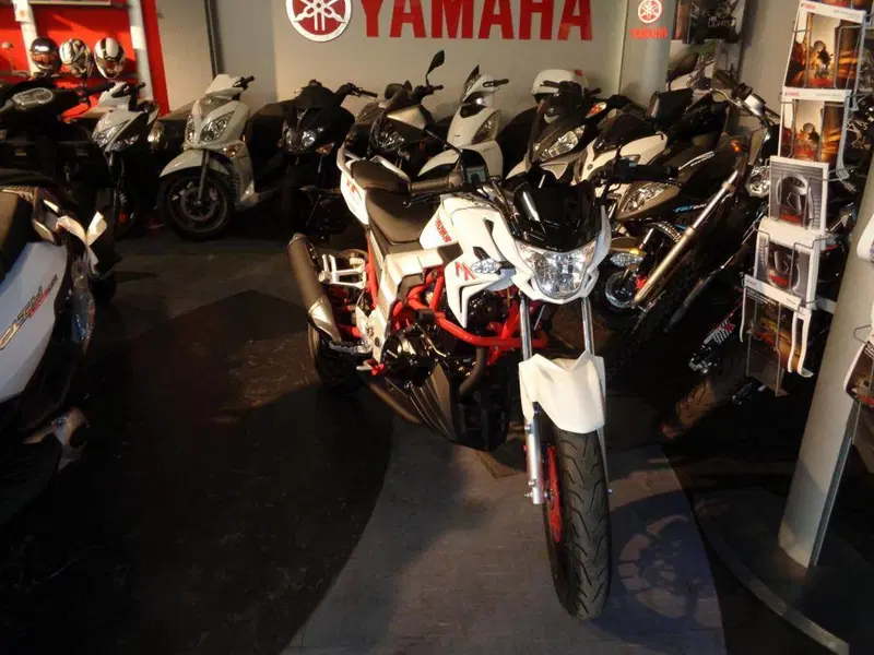  Altre moto o tipologie Special (5)