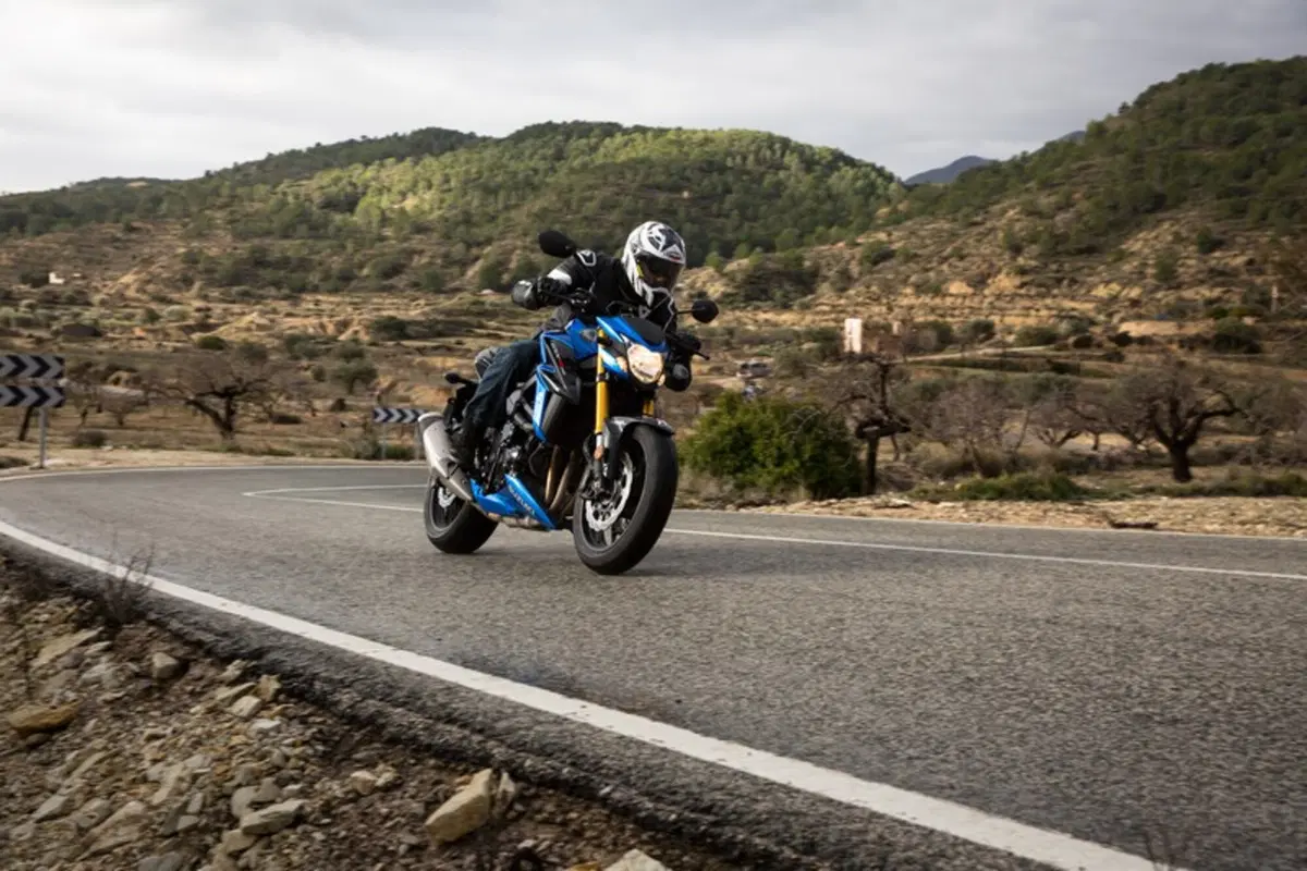 Suzuki GSX-S750  2017 (11)
