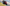 Honda CBR 1000RR Fireblade / Fireblade SP