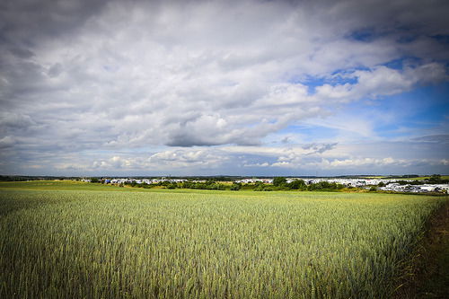 MXGP 2015. Le foto più belle del GP di Germania (2)