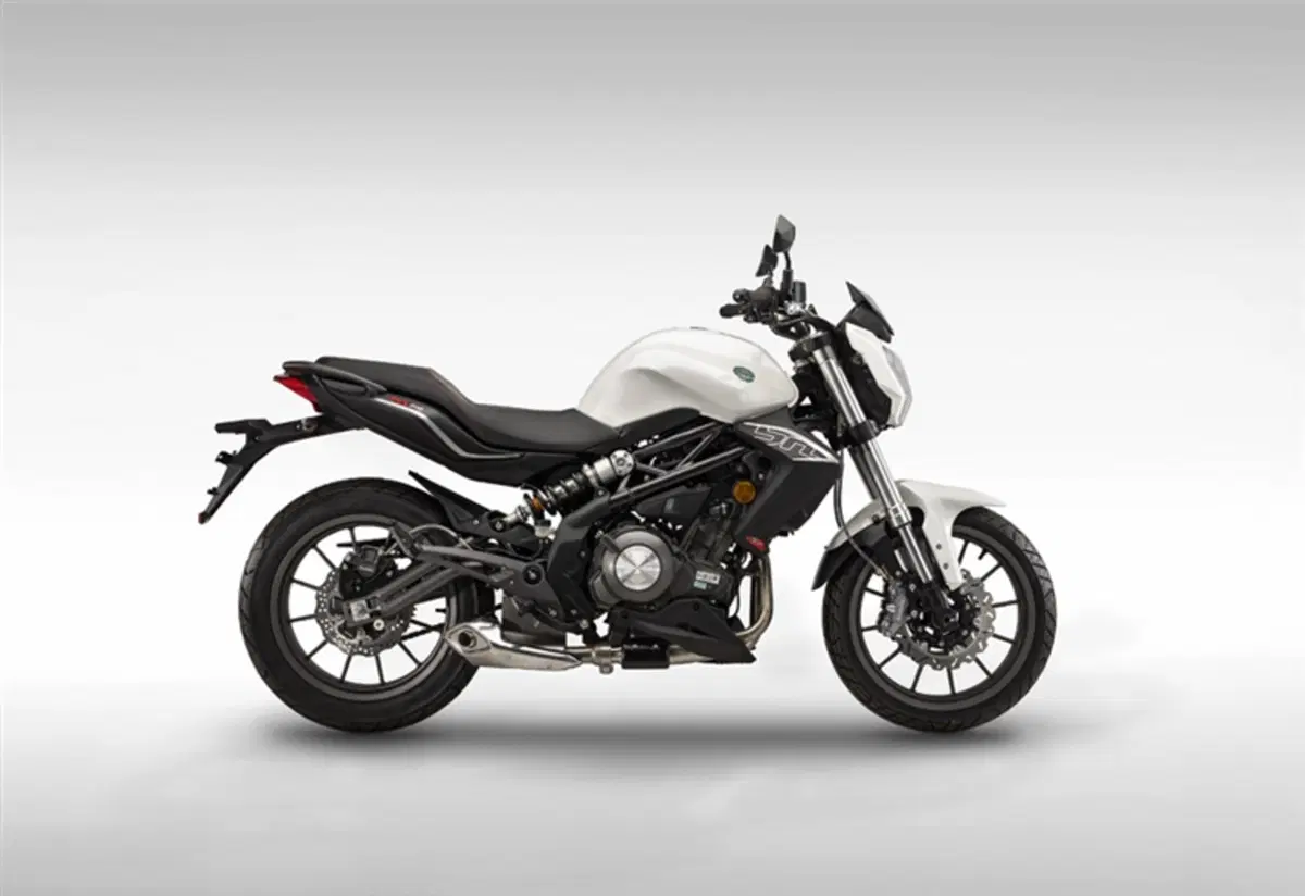 Benelli BN 302 BN 302 (2017 - 19) (4)