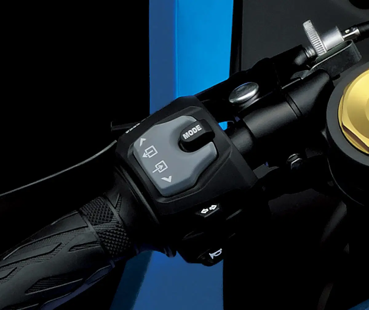 Suzuki GSX-R1000R (14)