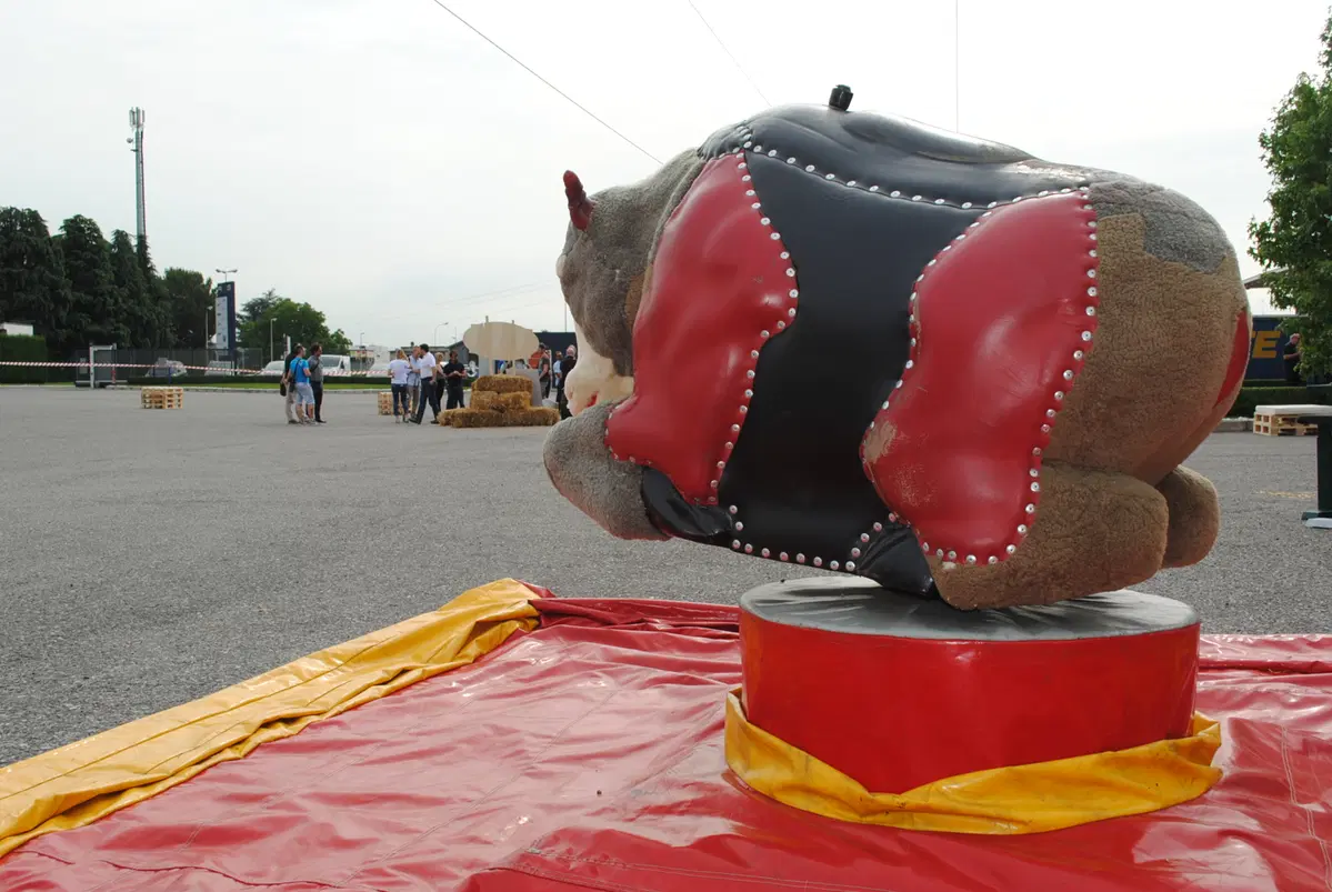 RMS festeggia i suoi 30 anni (4)