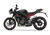 Triumph Street Triple R (2017 - 20) (9)