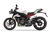 Triumph Street Triple R (2017 - 20) (10)