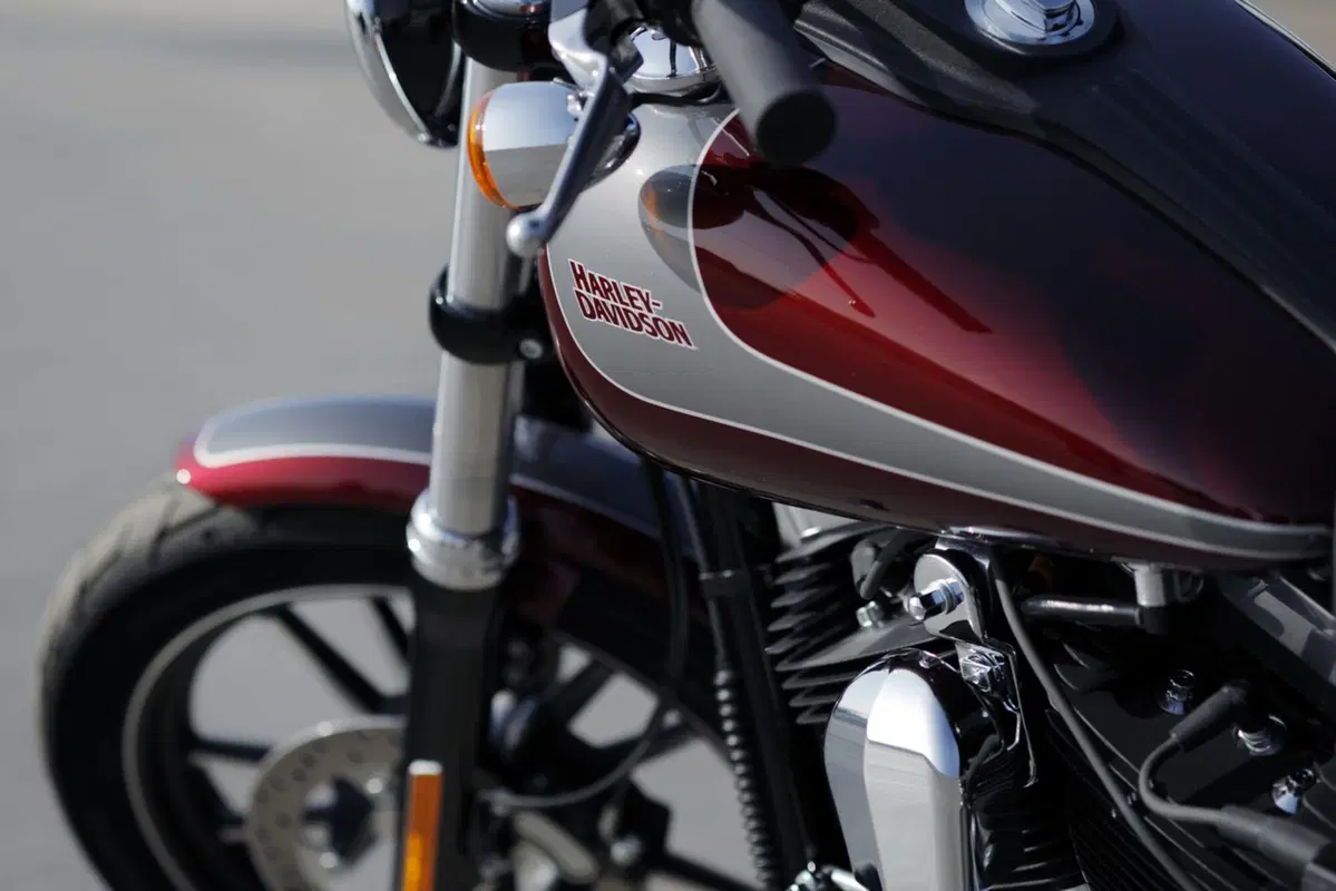 Harley-Davidson Dyna 1584 Street Bob (2008 - 15) - FXDB (5)