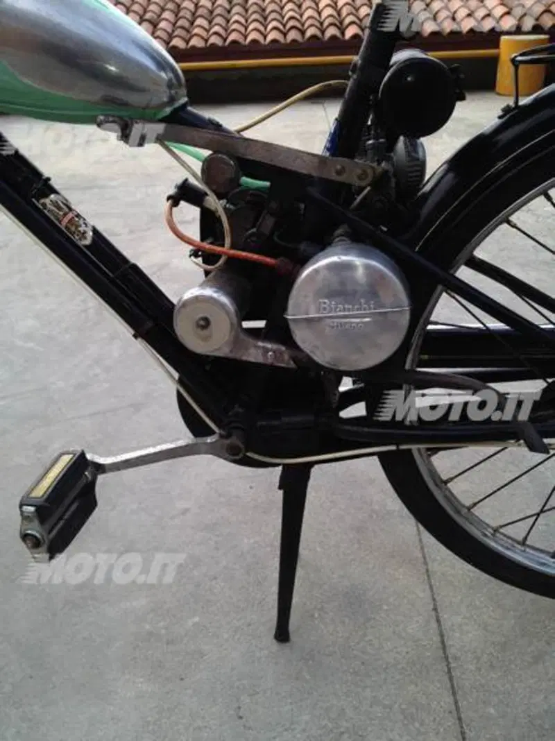 Bianchi aquilotto (2)
