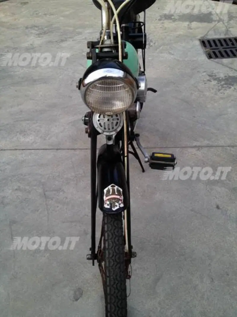 Bianchi aquilotto (4)