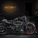 Battle of the Kings: vince Harley-Davidson Perugia