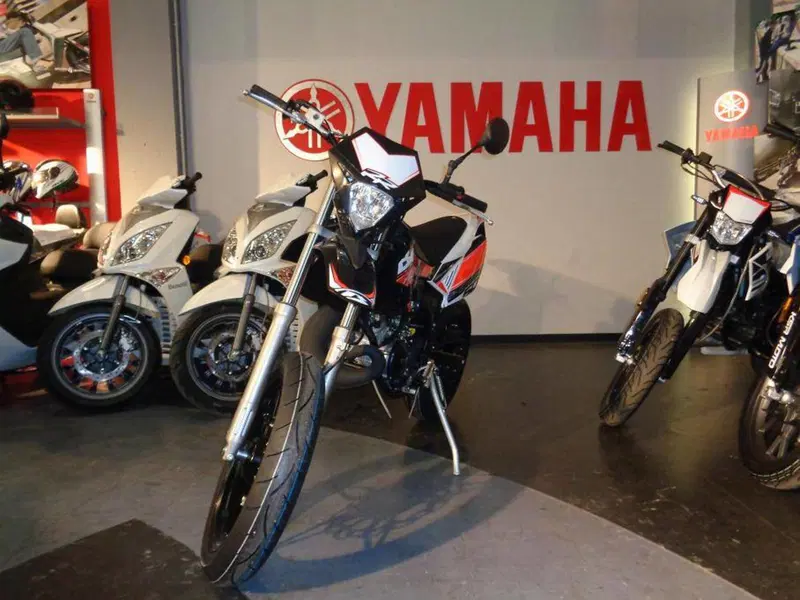 Betamotor RR 50 Motard (2011 - 18) (4)