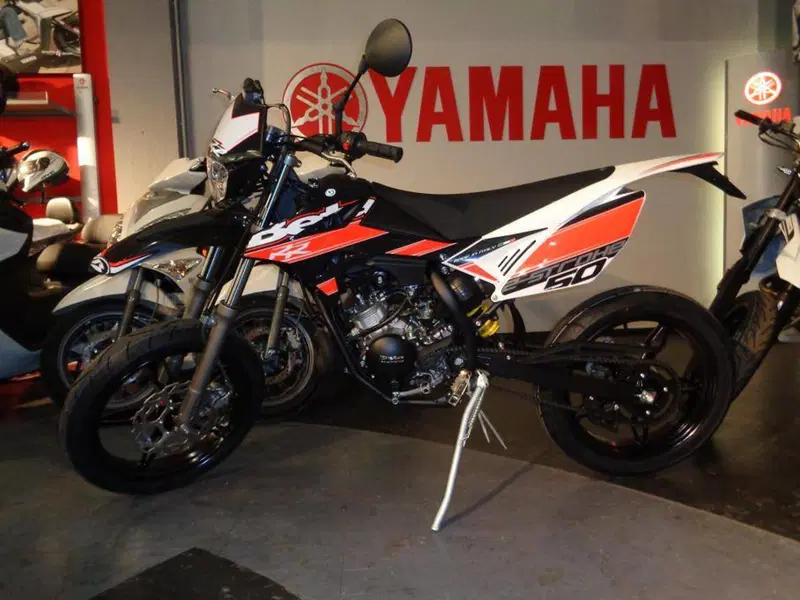 Betamotor RR 50 Motard (2011 - 18) (5)