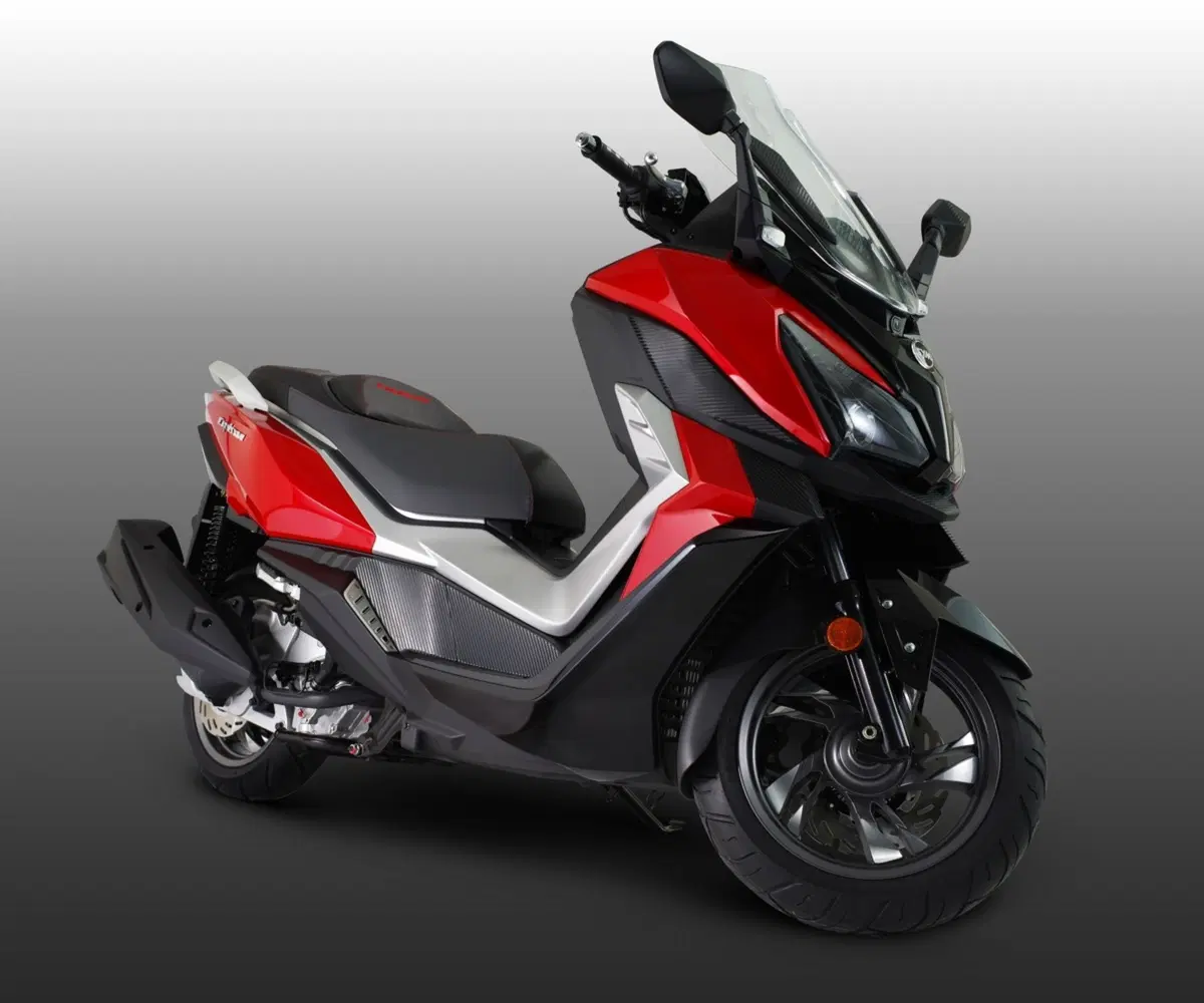 Sym CruiSym 300 Cruisym 300 (2017 - 20) (9)