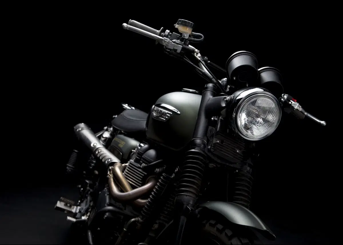 Triumph Scrambler Jurassic World, all'asta contro il cancro (3)