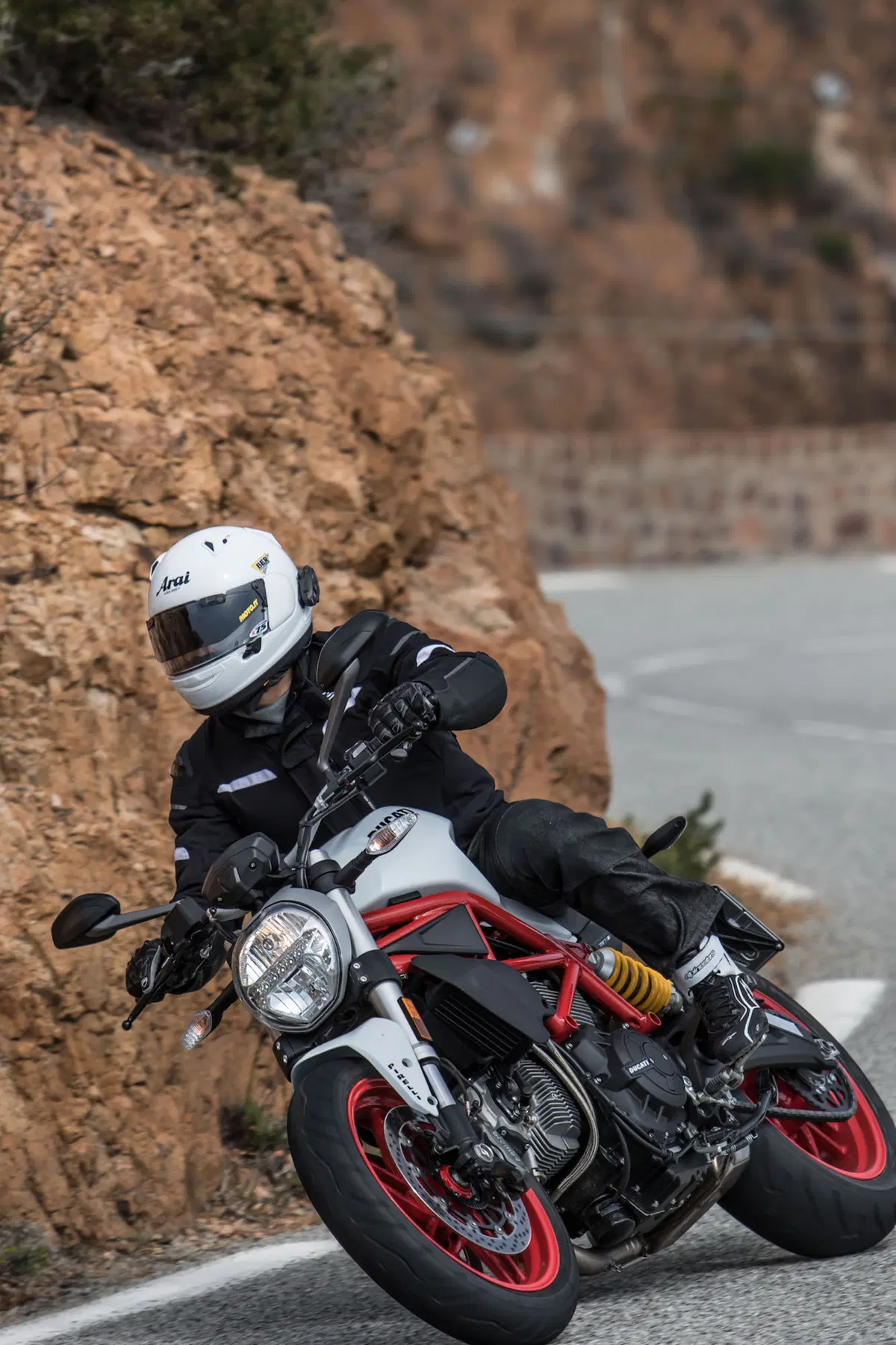 Ducati Monster 797 2017 (2)