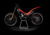 Montesa Cota 4RT 300 RR (2017 - 18) (8)