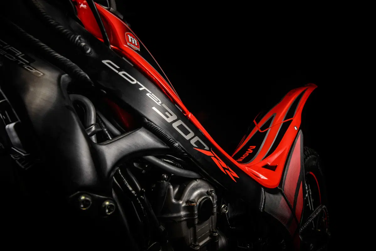 Montesa Cota 4RT 300 RR Cota 4RT 300 RR (2017 - 18) (11)