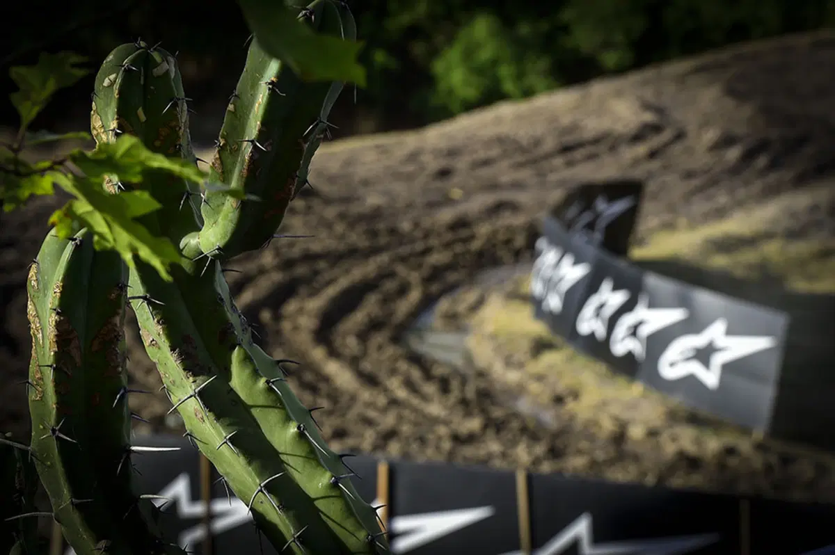 Gallery MX 2017. Gli scatti più spettacolari del GP del Messico (12)